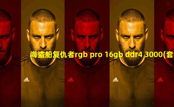 海盗船复仇者rgb pro 16gb ddr4 3000(套装)